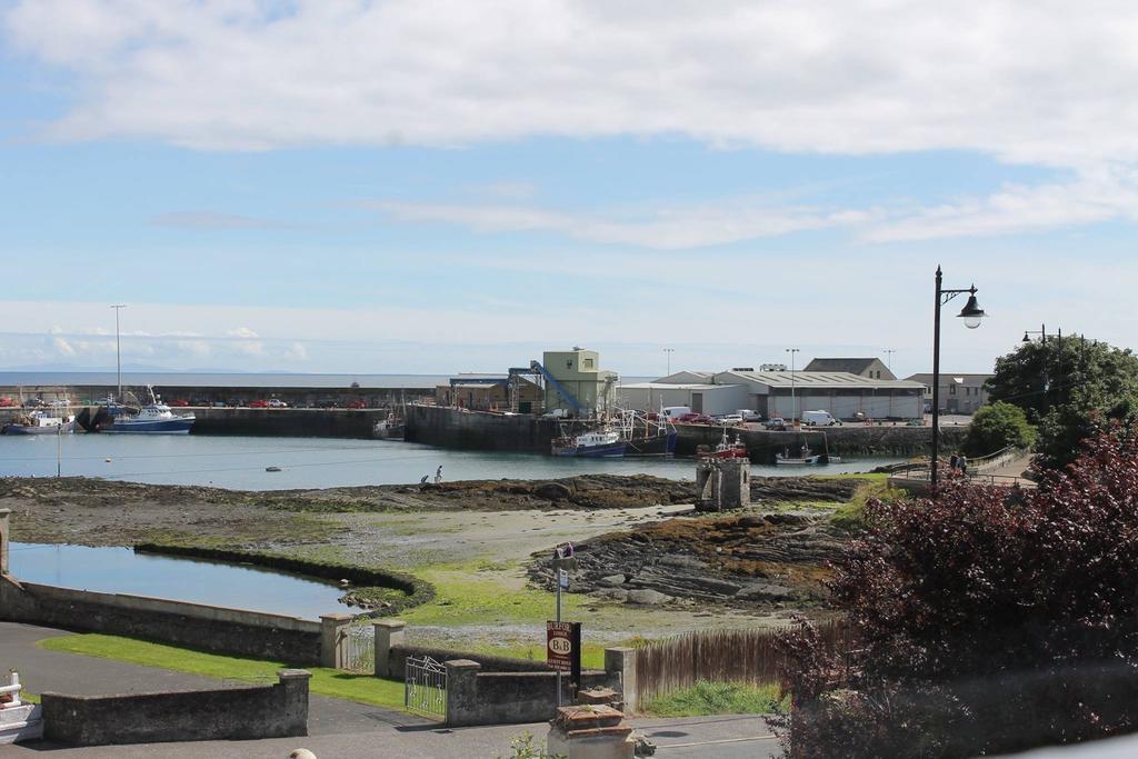 Burford Lodge Guest House Ardglass Bagian luar foto